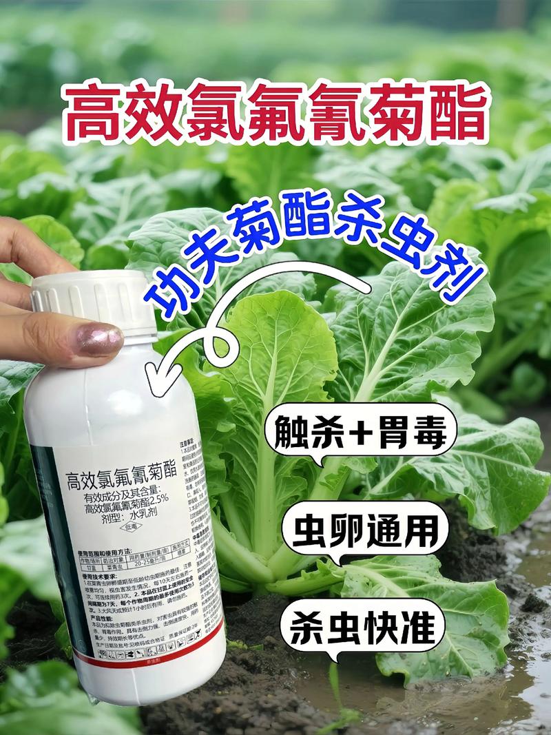 百色代生中心:农药对供卵代生妈妈的危害